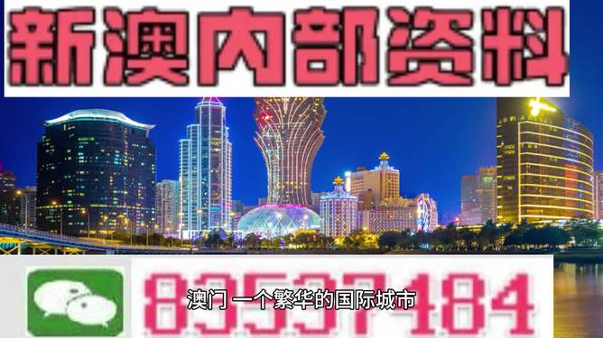 2024新澳门正版免费正题,定性说明解析_L版12.316